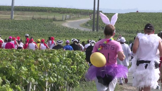 Marathon du Medoc 2015 du 8 ème au 12 ème km / replay Medoc Marathon from 8 to 12 th km