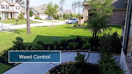 The Best Solution For Your Lawn Care And Landscaping Needs