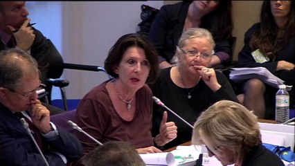 Modification de la loi Evin : les interventions de Catherine Quéré et Anne-Yvonne Le Dain