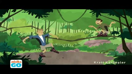Kratt Kardeşler Renkli Kuşlar