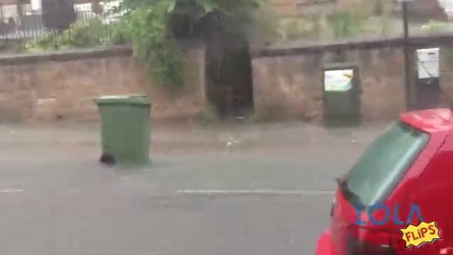 Raining Cats and Dogs.... and Wheelie Bins