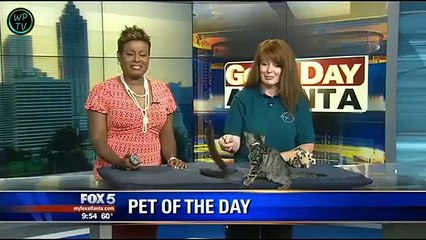 Funny videos - Fails-Wins compilation NOv 2015 09 most funny