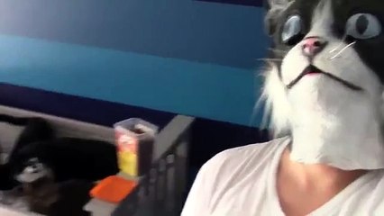 Man in Cat Mask Scares Cats