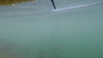 İnanılmaz Köpek Balığı Saldırısı