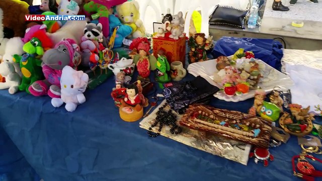 Girotondo, il cane paralizzato diversamente abile fa tappa in Viale Crispi