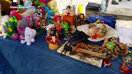 Girotondo, il cane paralizzato diversamente abile fa tappa in Viale Crispi