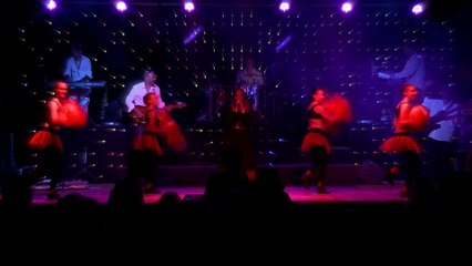 Orchestre Dany Gray 2015 Spectacle Live