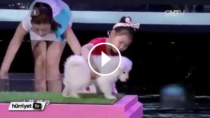 Hayvanları hipnotize eden küçük kız