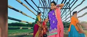 Phulkari _ Desi Robinhood _ Kaur B _ Full Music Video 2015