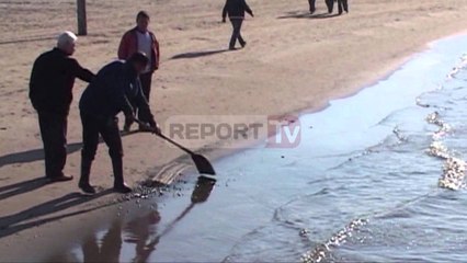 Report TV - Ku u depozitua rëra e ndotur në bregdetin e Durrësit?
