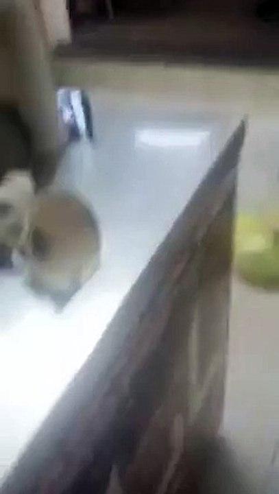 La blague du pétard sur la chaise - vidéo Dailymotion