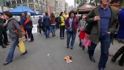 Pizza Rat Prank