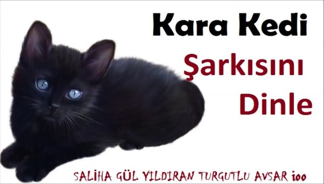 Güzeller Güzeli bir Kara Kedi Cocuk şarkısı Dinle,Miyav Miyav
