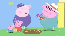 Peppa Pig Season 4 Episode 12 Peppa and Georges Garden