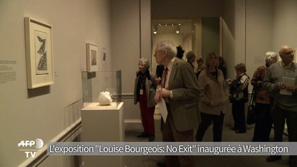L'exposition "Louise Bourgeois : No exit" inaugurée à Washington