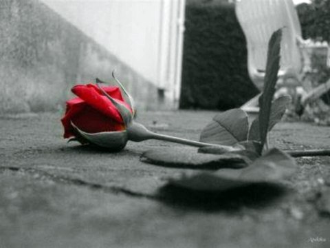 Bir Gün Anlarsın - Ümit Yaşar Oğuzcan Şiir ( Hakan Kömürcü)