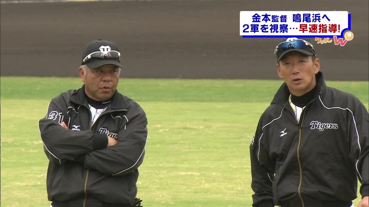 阪神タイガース 鳴尾浜･秋季キャンプ 2015.11.07
