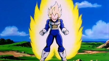 Vegeta Ascends