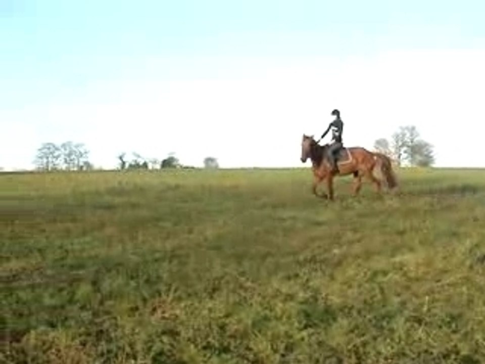 Elo et Spirit