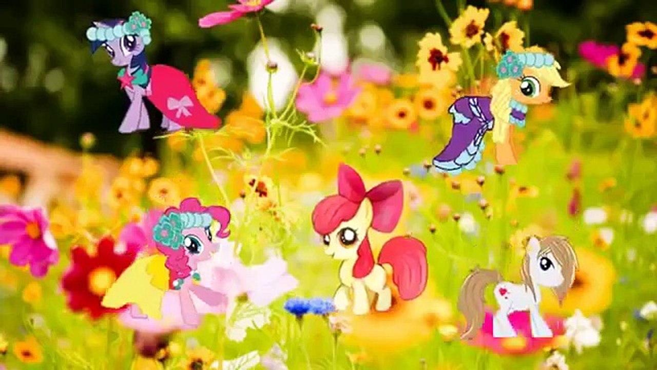 My Little Pony Finger Family Song | Finger Family Song For Children & English Childrens S
