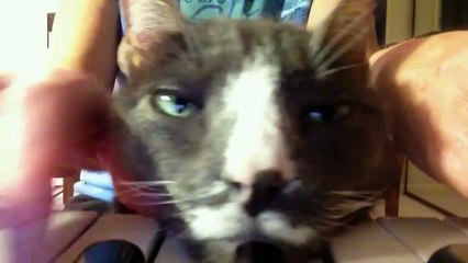 She doesn t like not being in on the action