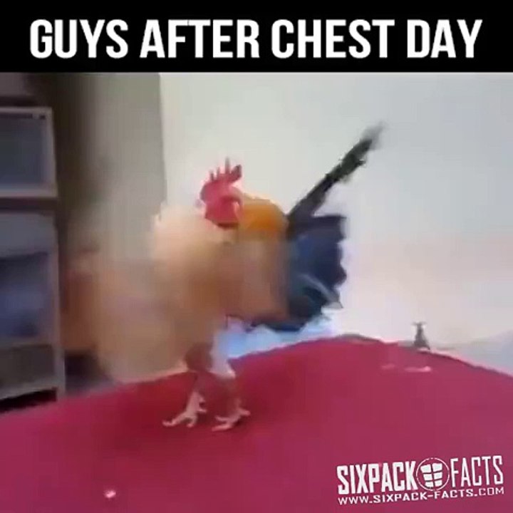 Guys After Chest Day