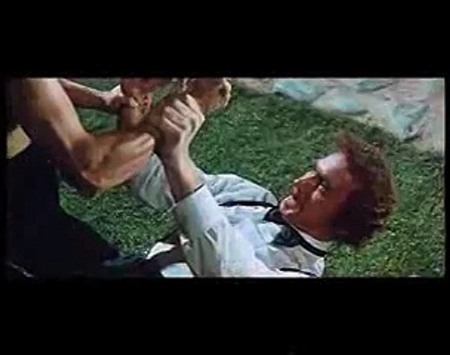 I AM BRUCE LEE PART 14