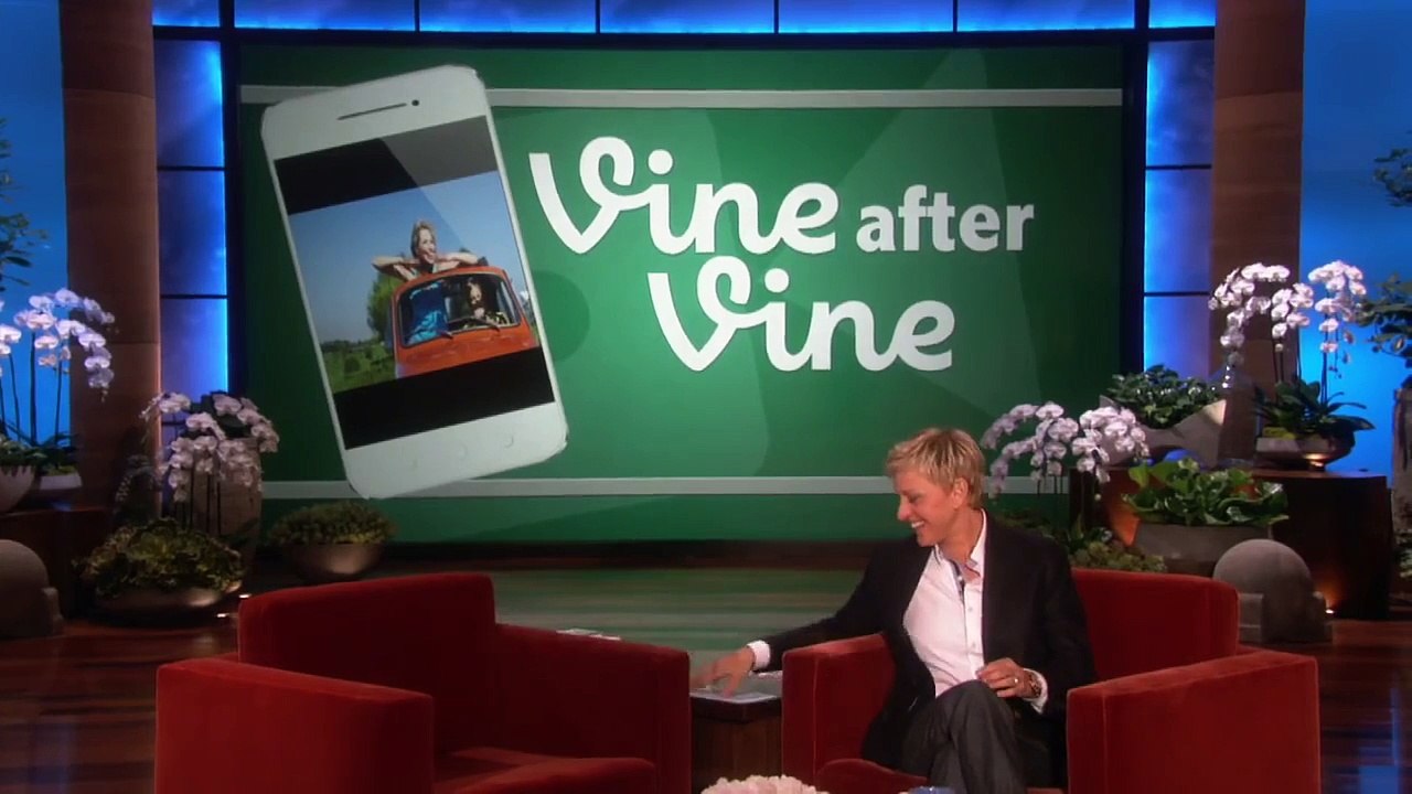 Vine After Vine After Vine