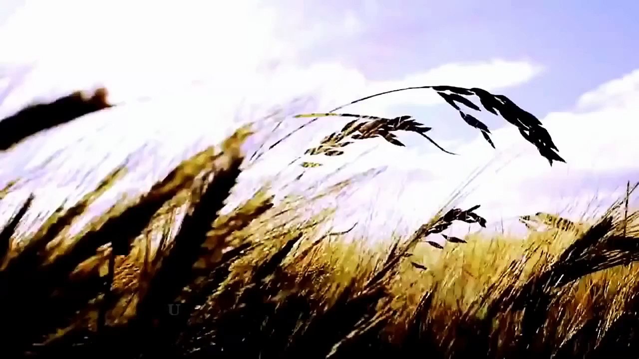 Шок! Издевательства над пленными укропами. Украина Новости.