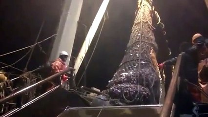 Russian Fisherman Get Something Unexpected In Their Net