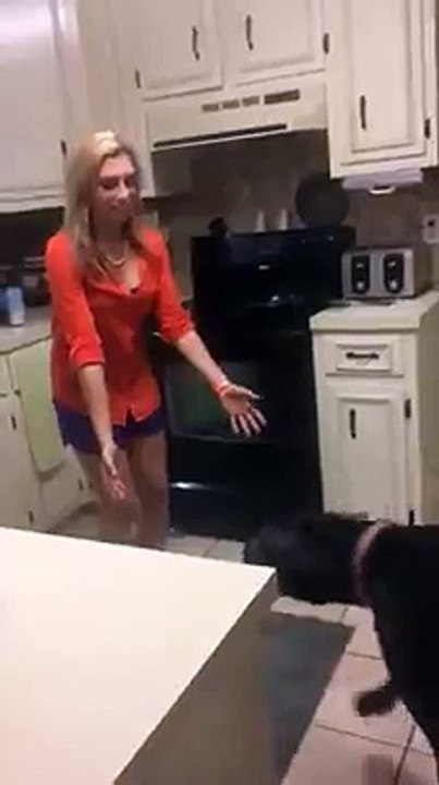 Ce "bébé" de 68 kilos fait un gros câlin à sa maîtresse lorsqu'elle rentre à la maison.