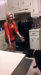 Ce "bébé" de 68 kilos fait un gros câlin à sa maîtresse lorsqu'elle rentre à la maison.