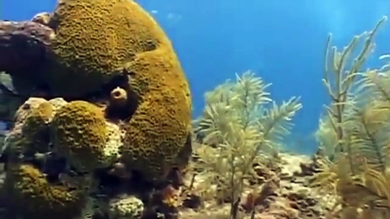 Mighty Machines Under the Waves Machines Car Truck