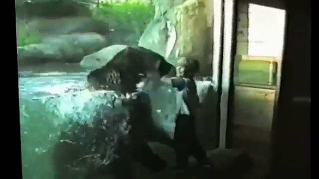 Дети в зоопарке- Самые смешные моменты