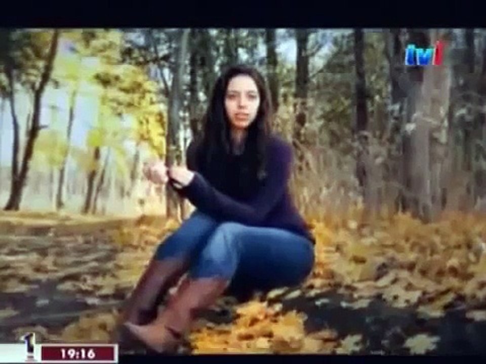 Coyote Mystery Documentary: Attack In The Wild Engsub