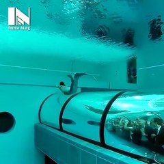 real mermaid found look like true video - Video Dailymotion