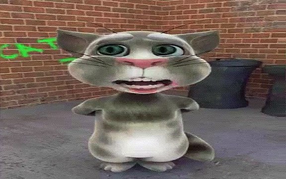 VID-20151021-WA0000.mp4