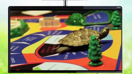 ラブ＆ピース園子温監督の映画予告☆出演者も麻生久美子 長谷川博己と豪華！