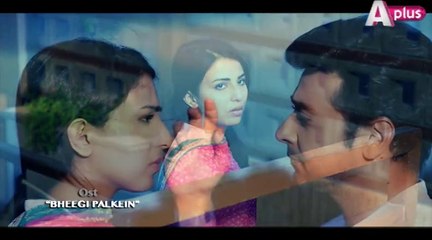 Bheegi Palkein OST