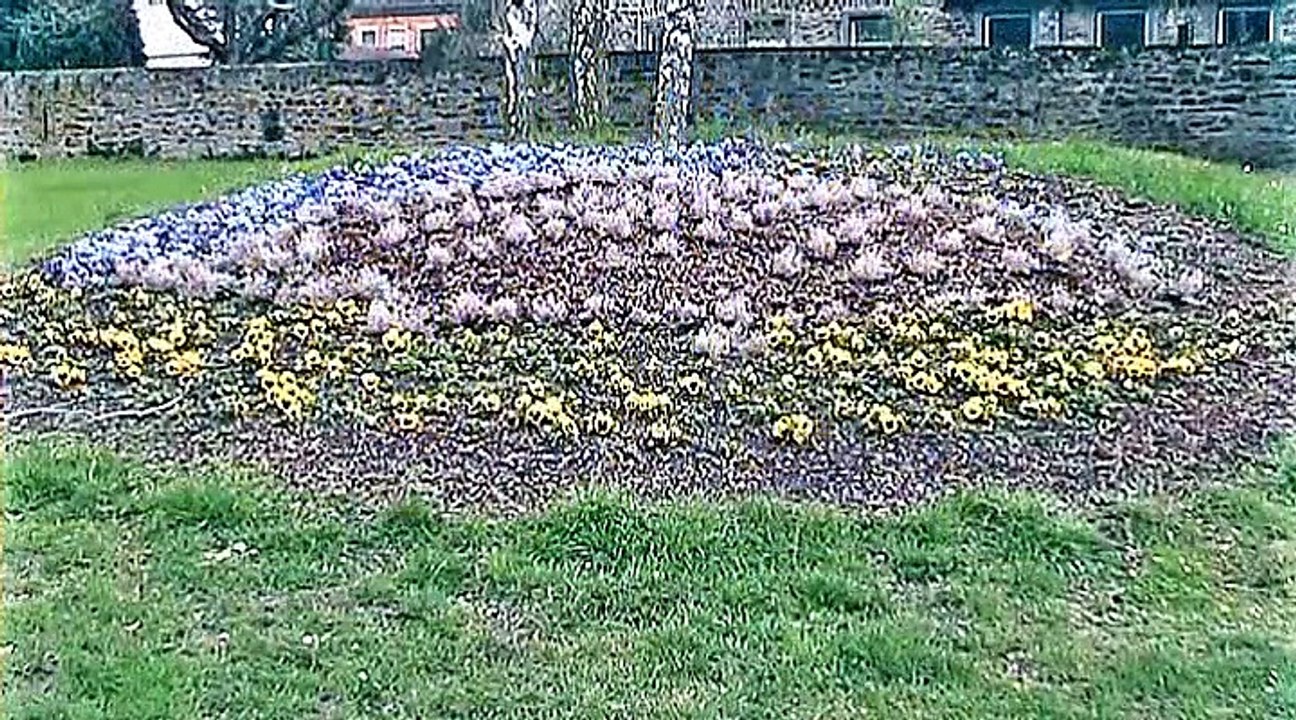 Auf großer Tour durch Niederlahnstein