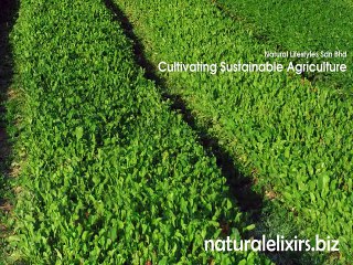 Find organic skin care specialist at naturalelixirs.biz