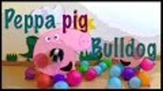 Peppa pig bulldog. El vlog de mi perro, bulldog francés, French bulldog