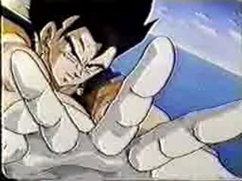 Vegetto2