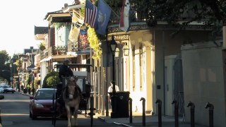 Horse drawn carriage in New Orleans