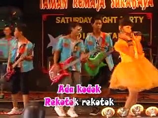 Koplo Lagu Anak Ada Kodok