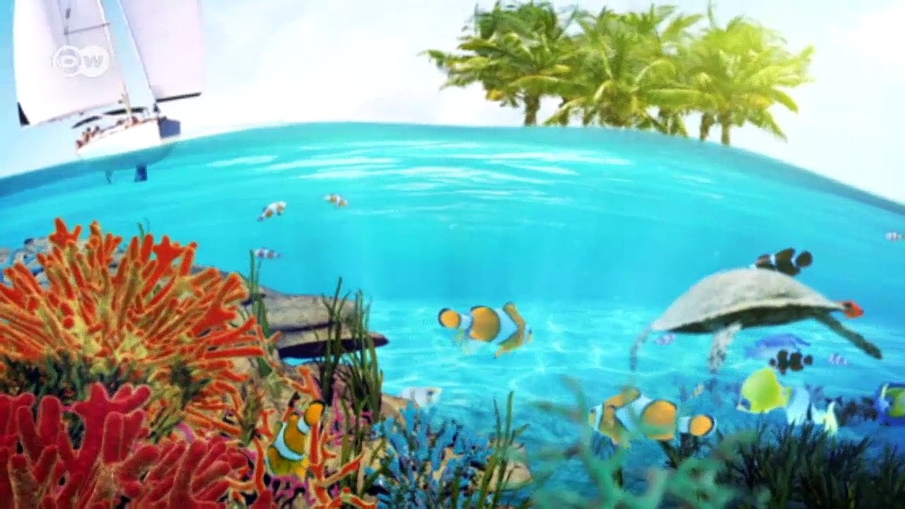 Biodiversität Seychellen | Global 3000