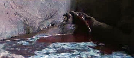 『유흥다이소』오산오피―수원오피≤신사오피≥역삼오피