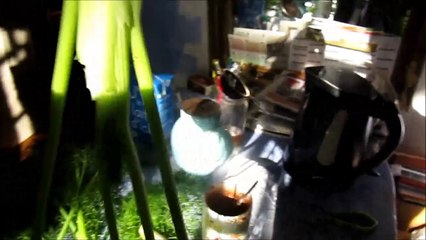 les aventures de l'homme fenouil, images de casting