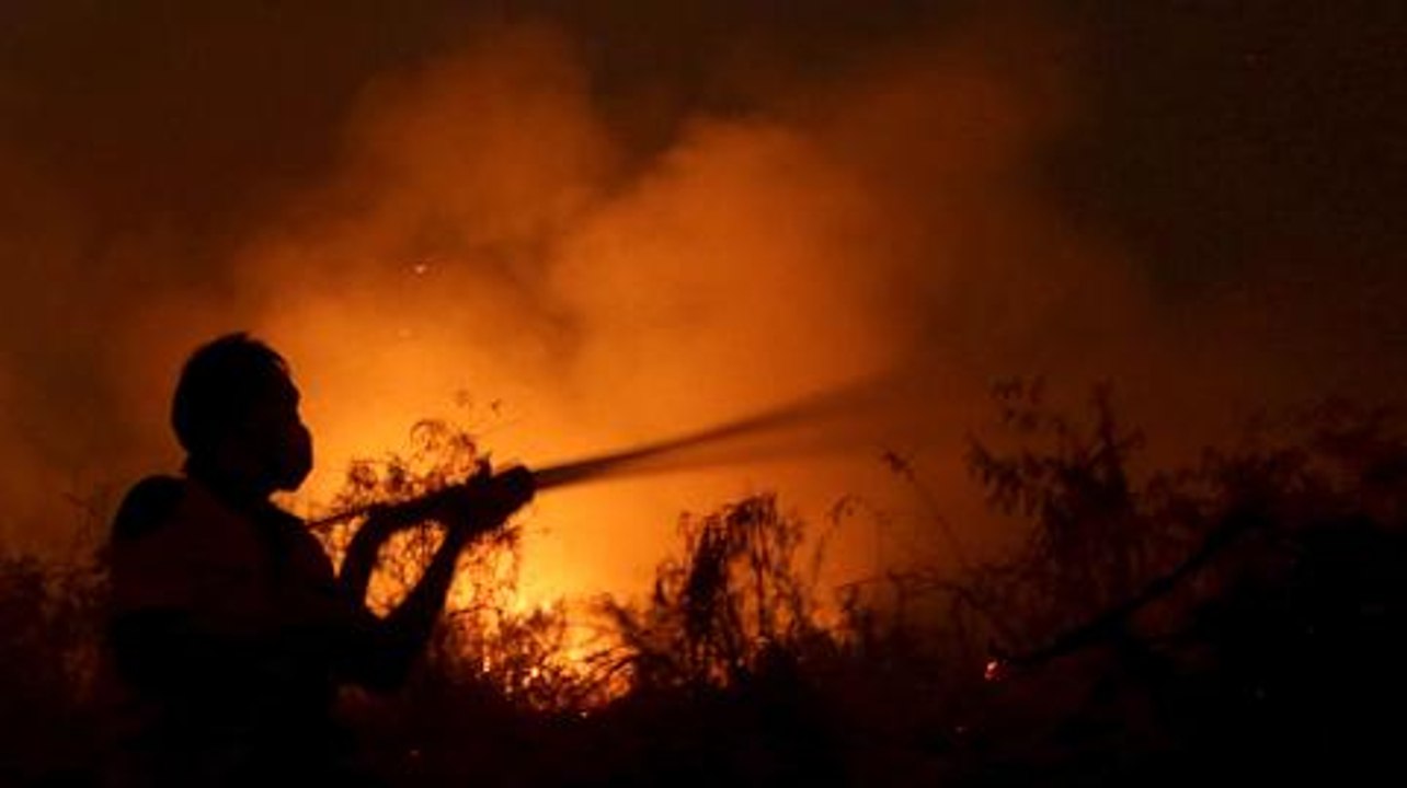 Counting the Cost - Counting the cost of Indonesia's forest fires