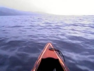 Вы когда-нибудь такое видели